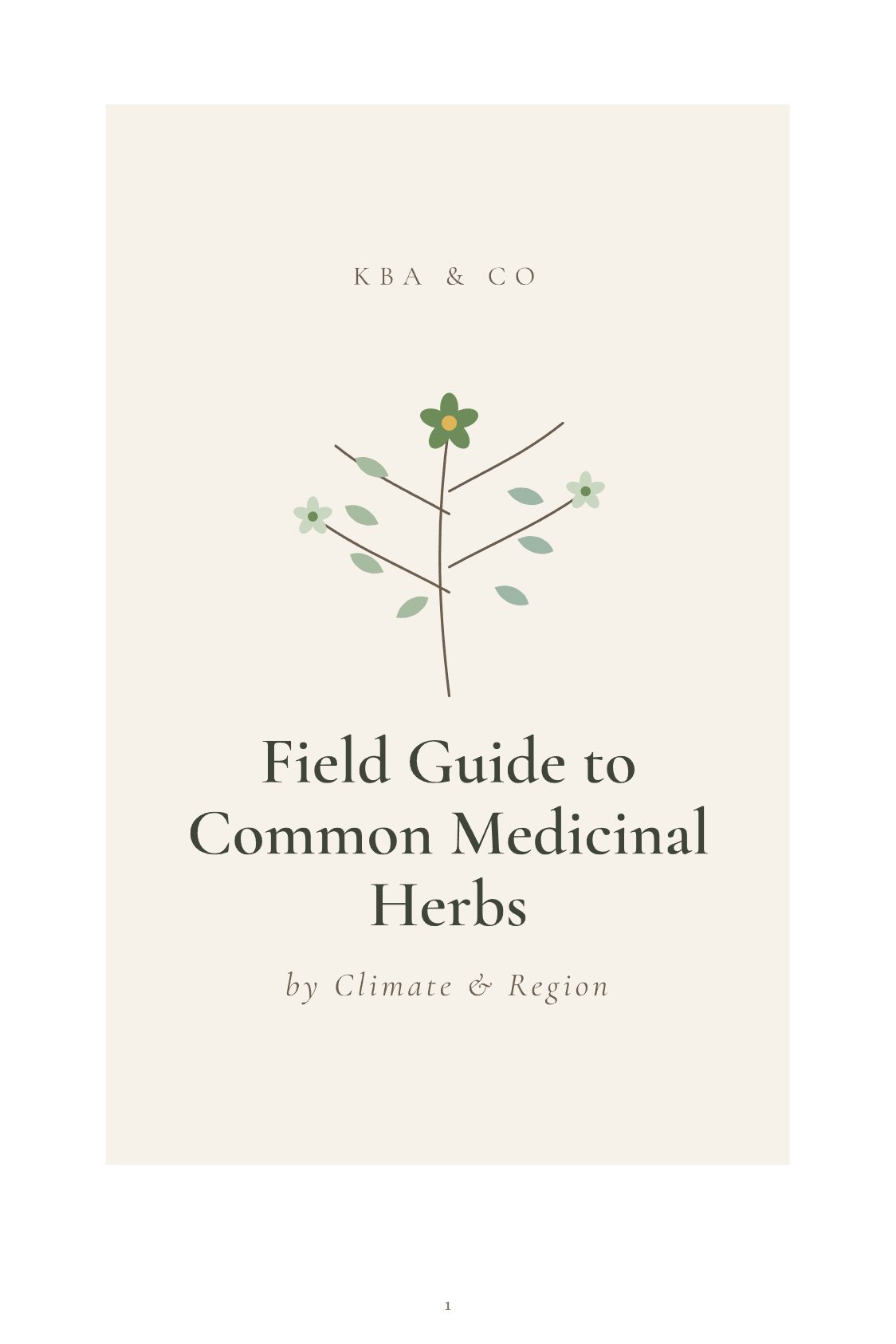 Field Guide to Common Medicinal Herbs cover