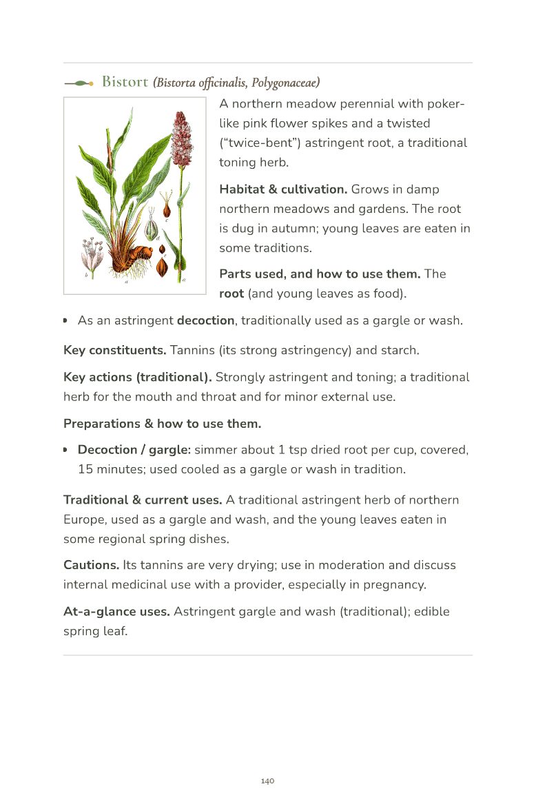 Sample page 10 from the Field Guide to Common Medicinal Herbs