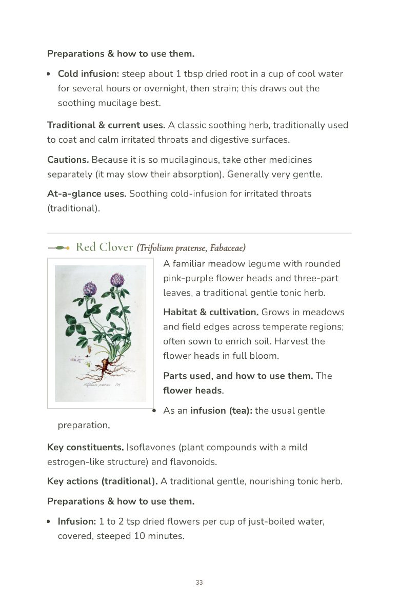 Sample page 2 from the Field Guide to Common Medicinal Herbs