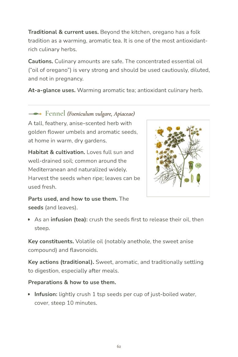 Sample page 4 from the Field Guide to Common Medicinal Herbs
