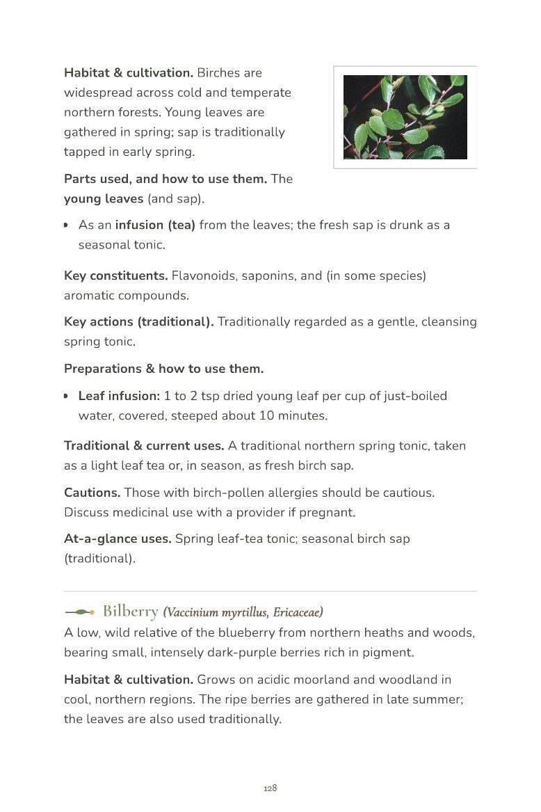 Sample page 9 from the Field Guide to Common Medicinal Herbs
